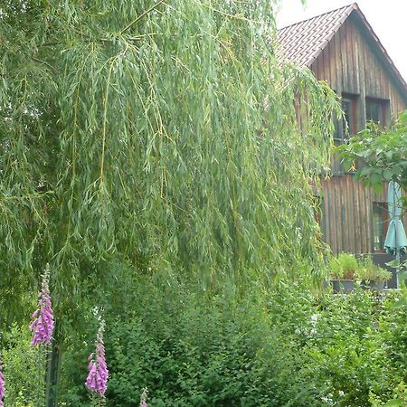 Ferienwohnung Lotti Brotterode Cameră foto